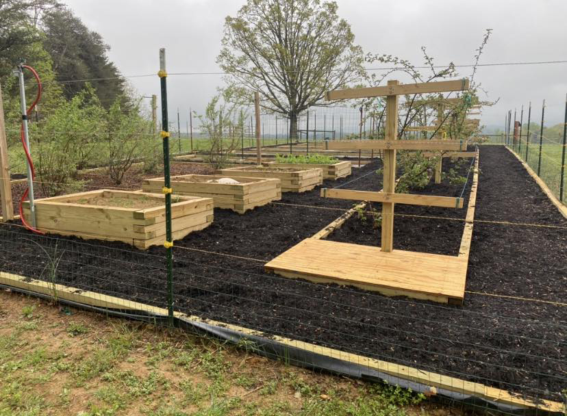 Raised garden beds with drip irrigation line