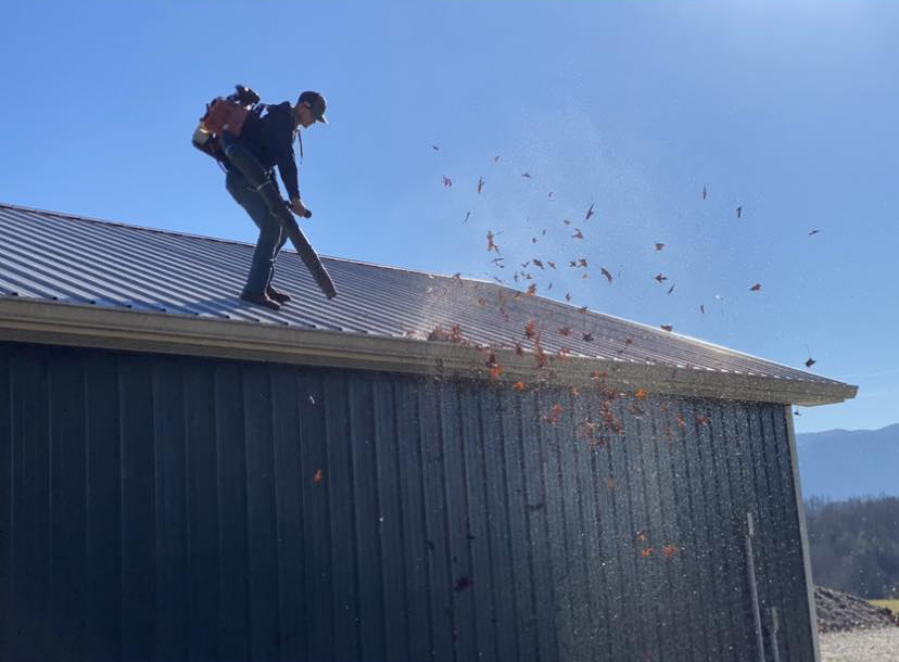 Clearing leaves from a metal roof and gutter line