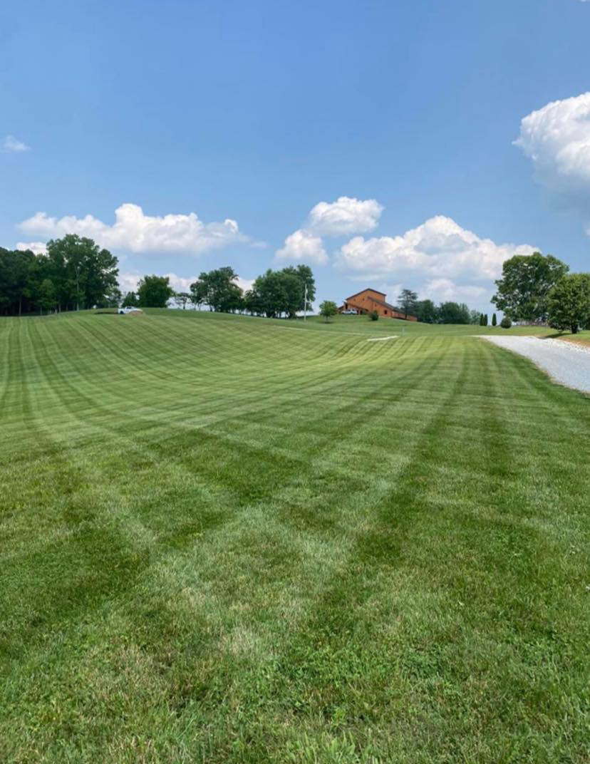 Aerial view of a striped lawn leading up to a home and pool